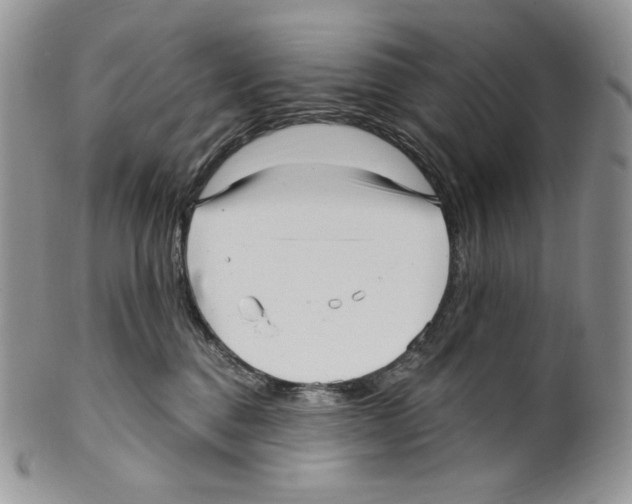 X0000099560376200806131239