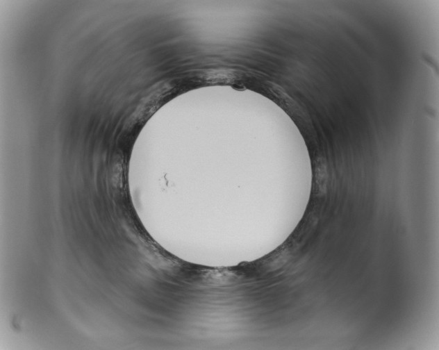 X0000099560379200806131239