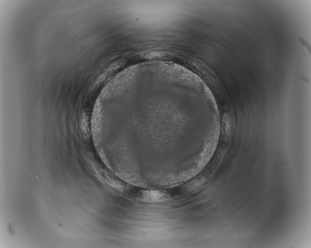X0000099560380200806131239