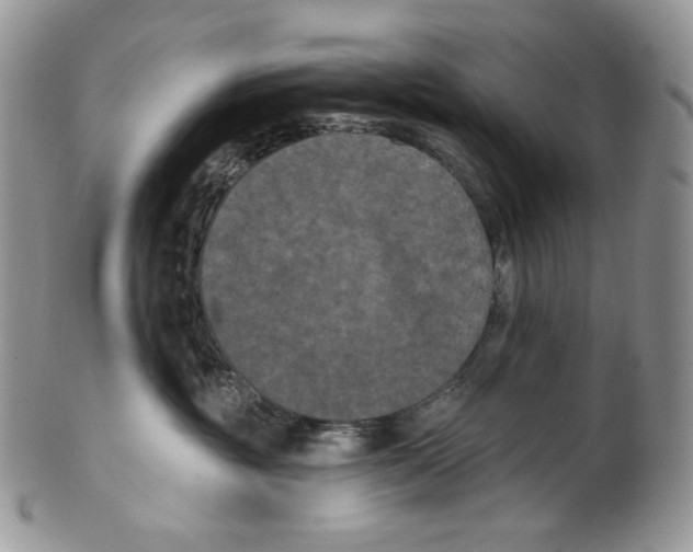 X0000099560381200806131239