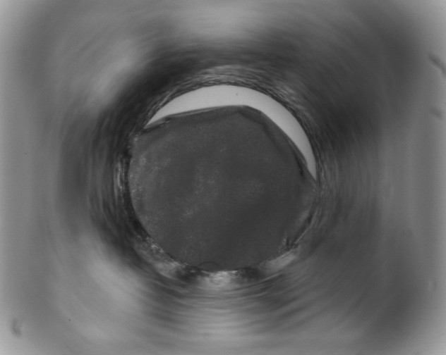 X0000099560382200806131239