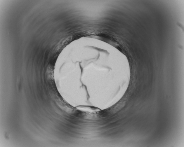 X0000099560384200806131239