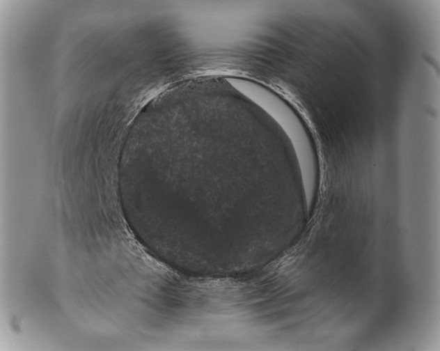 X0000099560385200806131239