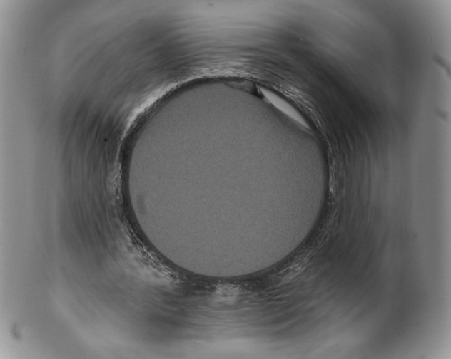X0000099560388200806131239