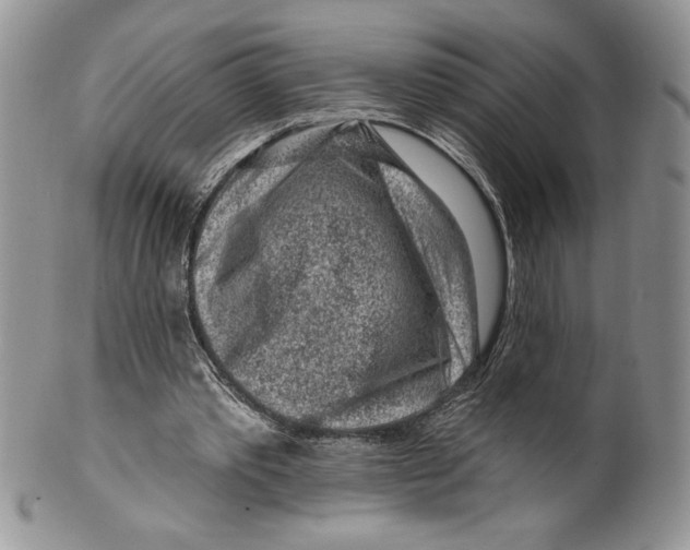 X0000099560389200806131239
