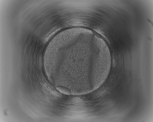 X0000099560390200806131239