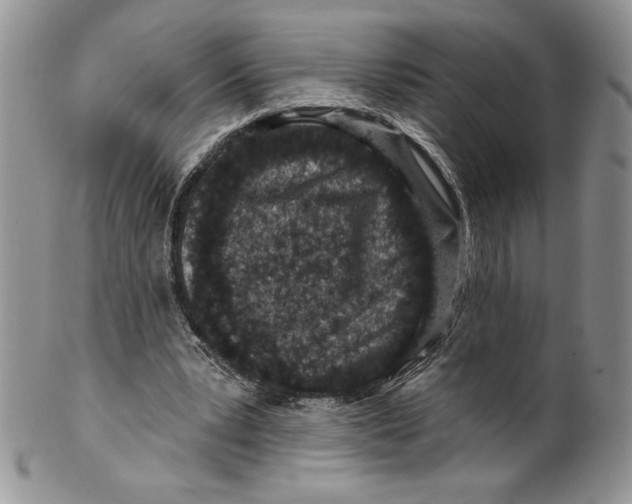 X0000099560391200806131239