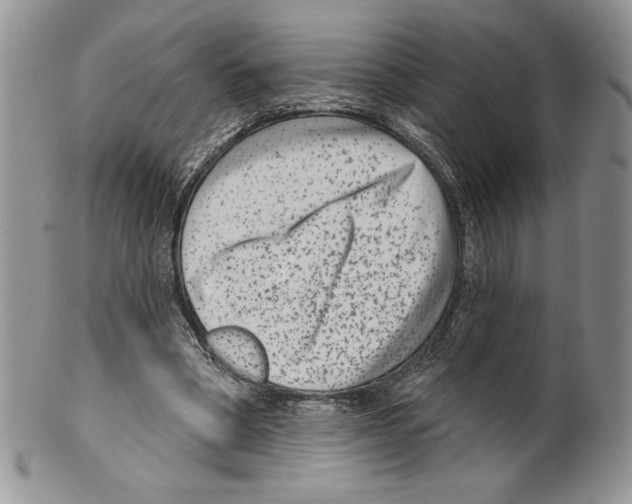 X0000099560394200806131238