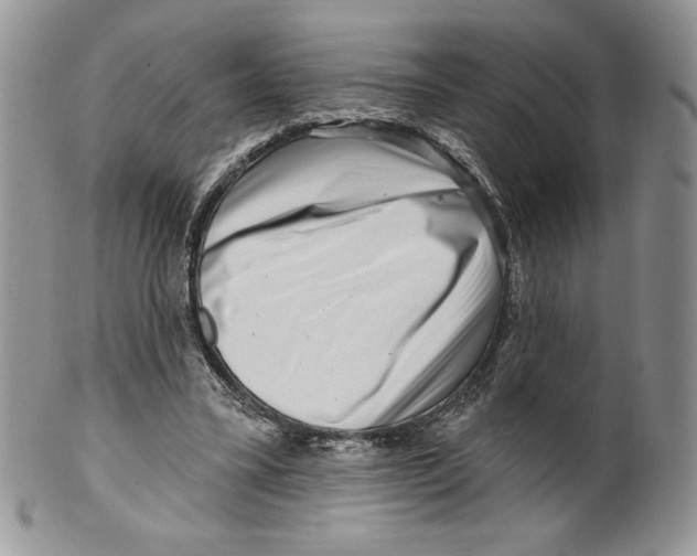 X0000099560395200806131238
