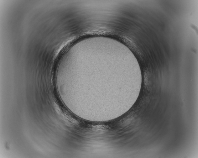 X0000099560396200806131238