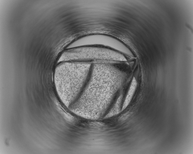 X0000099560397200806131238