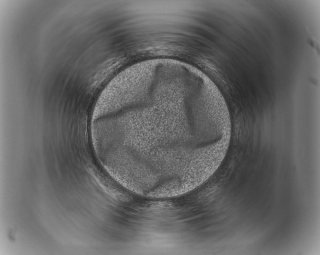 X0000099560398200806131238