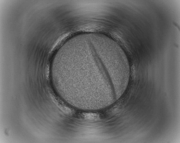 X0000099560400200806131238