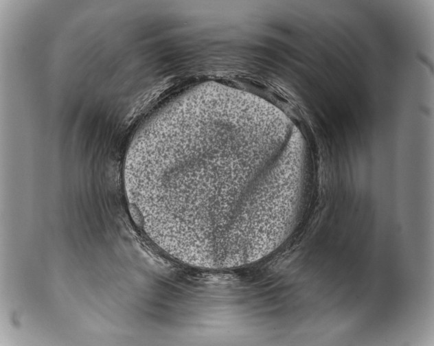 X0000099560401200806131238
