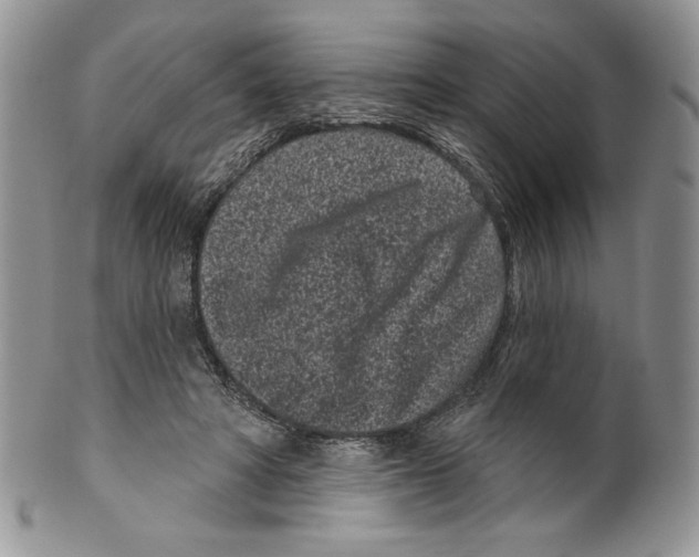 X0000099560402200806131238