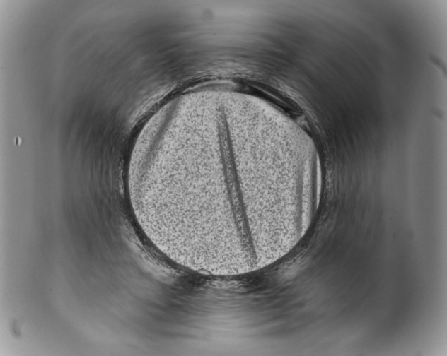 X0000099560403200806131238