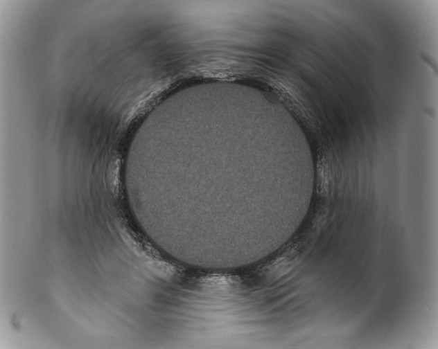 X0000099560404200806131238