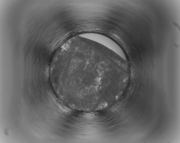 X0000099560405200806131238