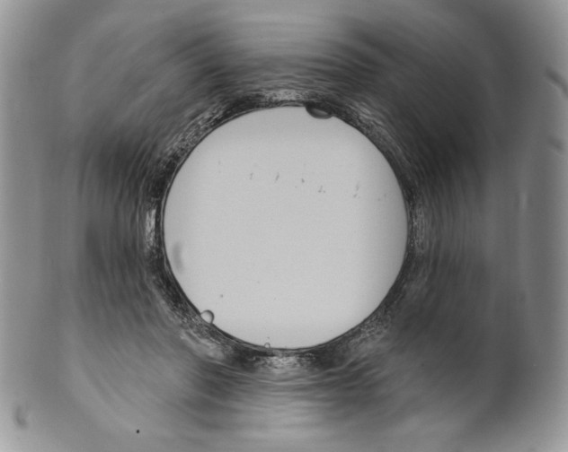 X0000099560406200806131238