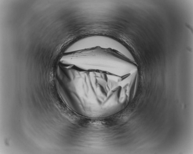 X0000099560407200806131238