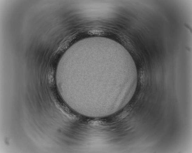 X0000099560408200806131238