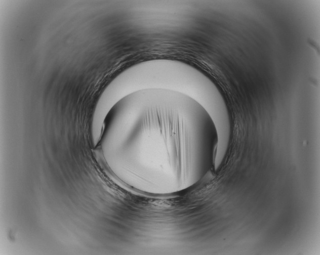 X0000099560409200806131238