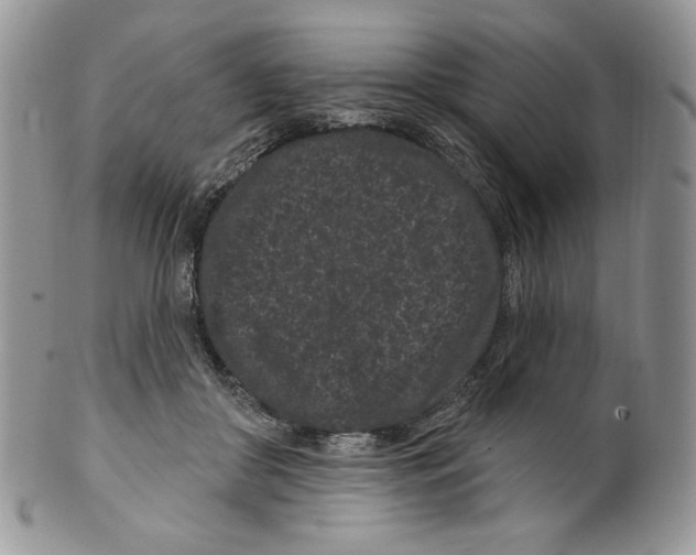 X0000099560410200806131238