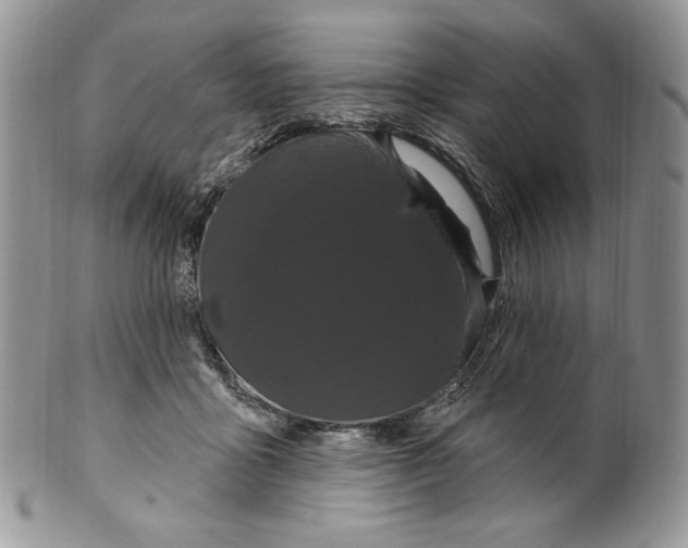 X0000099560411200806131238