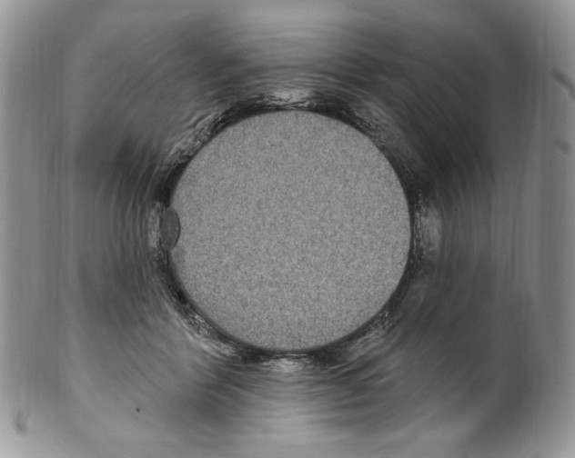 X0000099560412200806131238