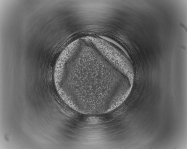 X0000099560413200806131238