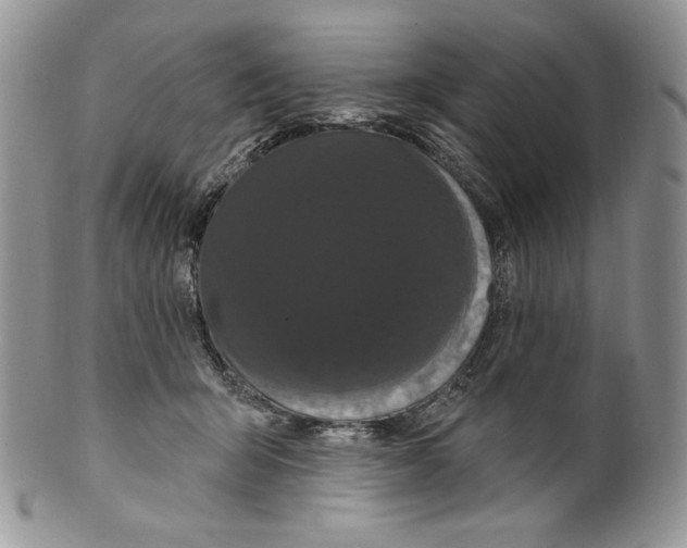 X0000099560415200806131238