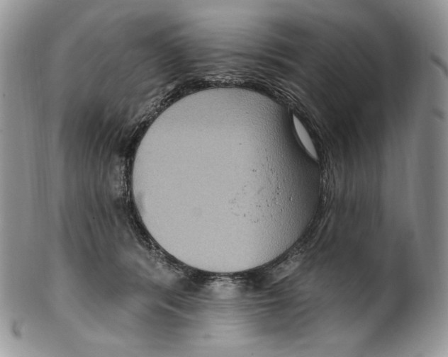 X0000099560416200806131238