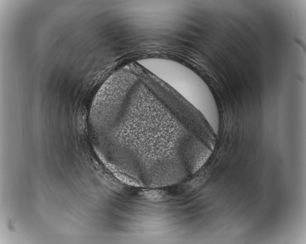 X0000099560417200806131238