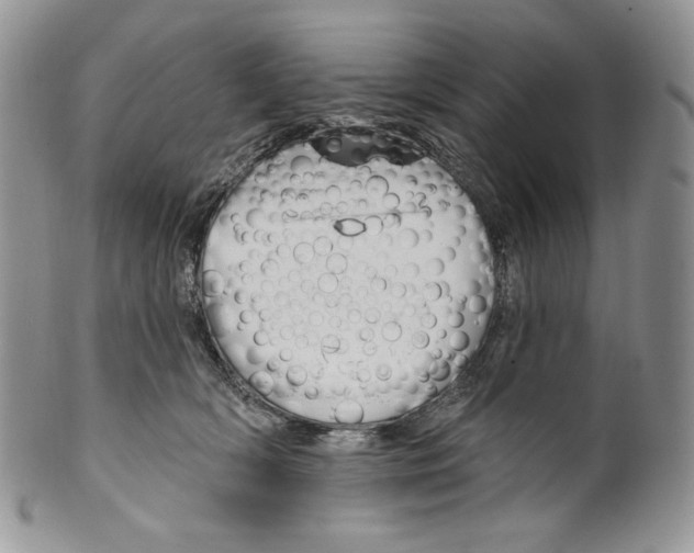 X0000099560418200806131238