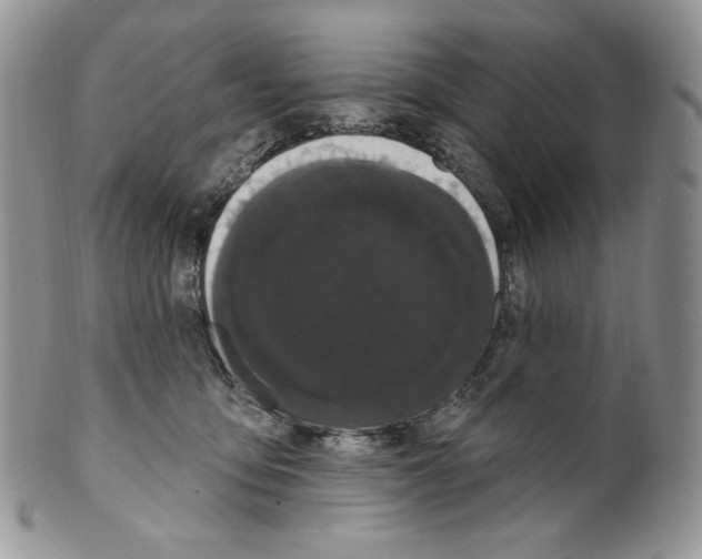 X0000099560419200806131238