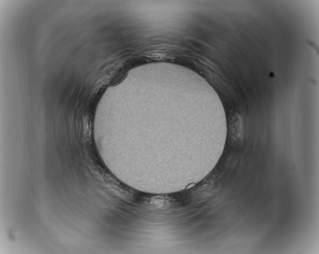 X0000099560420200806131238