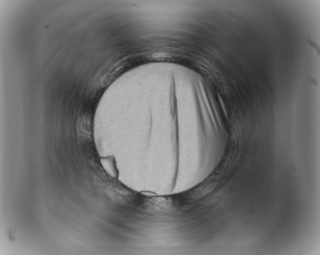 X0000099560421200806131238