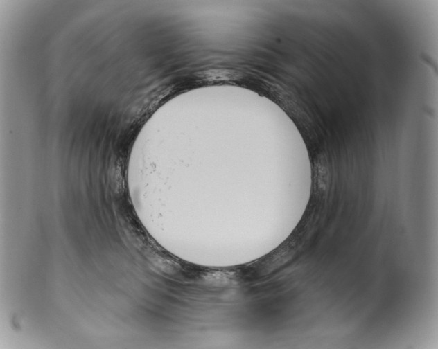 X0000099560422200806131238