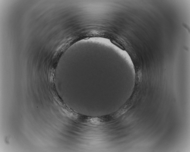 X0000099560423200806131238