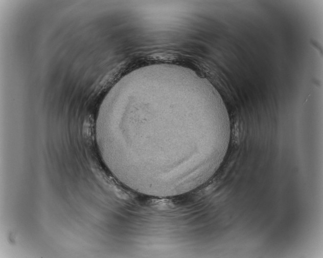 X0000099560424200806131238
