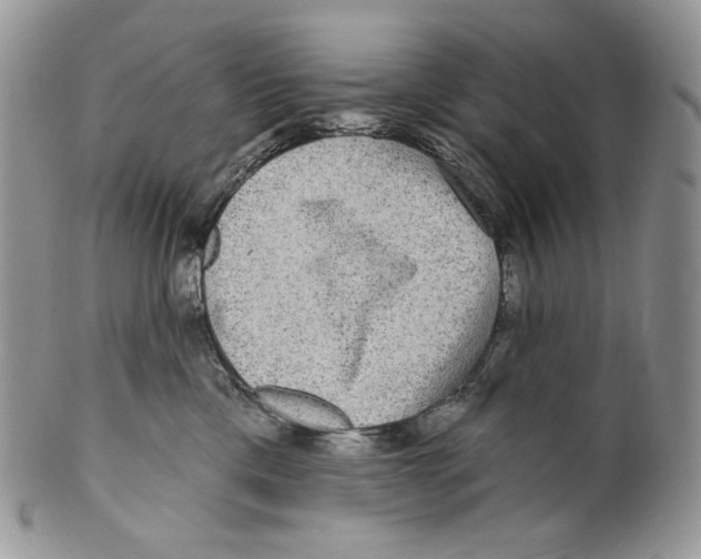 X0000099560425200806131238