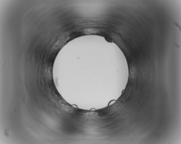X0000099560426200806131238