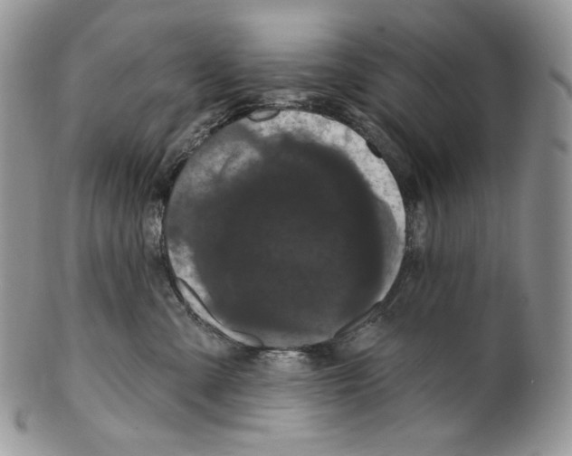 X0000099560427200806131238