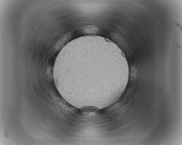 X0000099560428200806131238