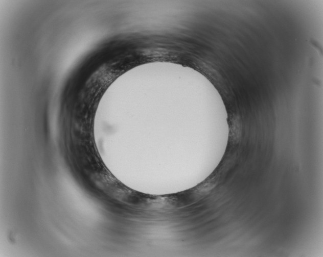 X0000099560430200806131238