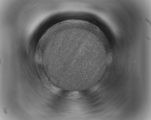 X0000099560431200806131238
