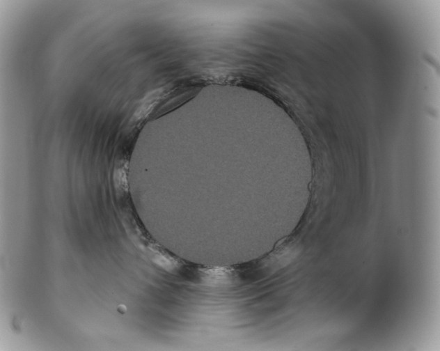 X0000099560432200806131238