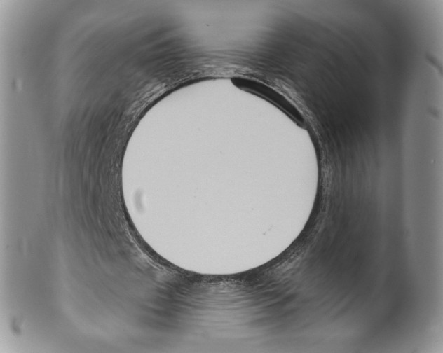 X0000099560433200806131237