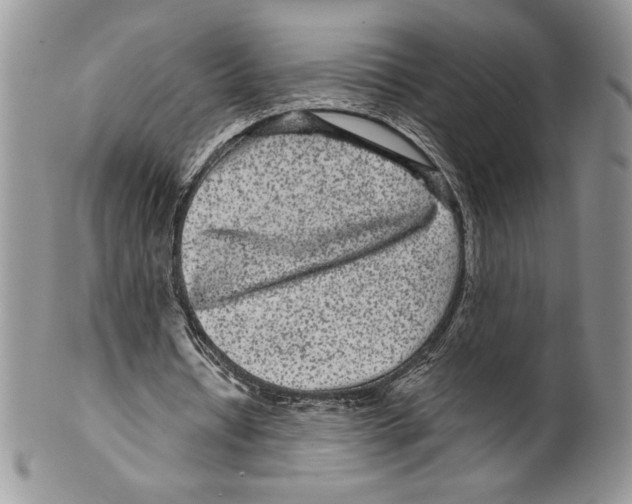 X0000099560434200806131237