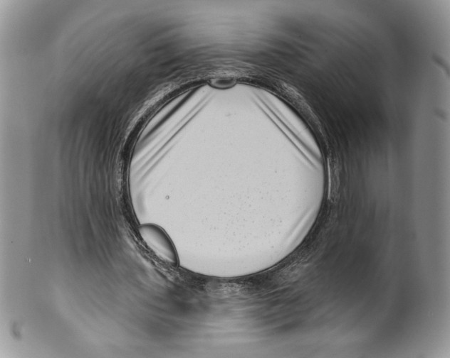 X0000099560435200806131237